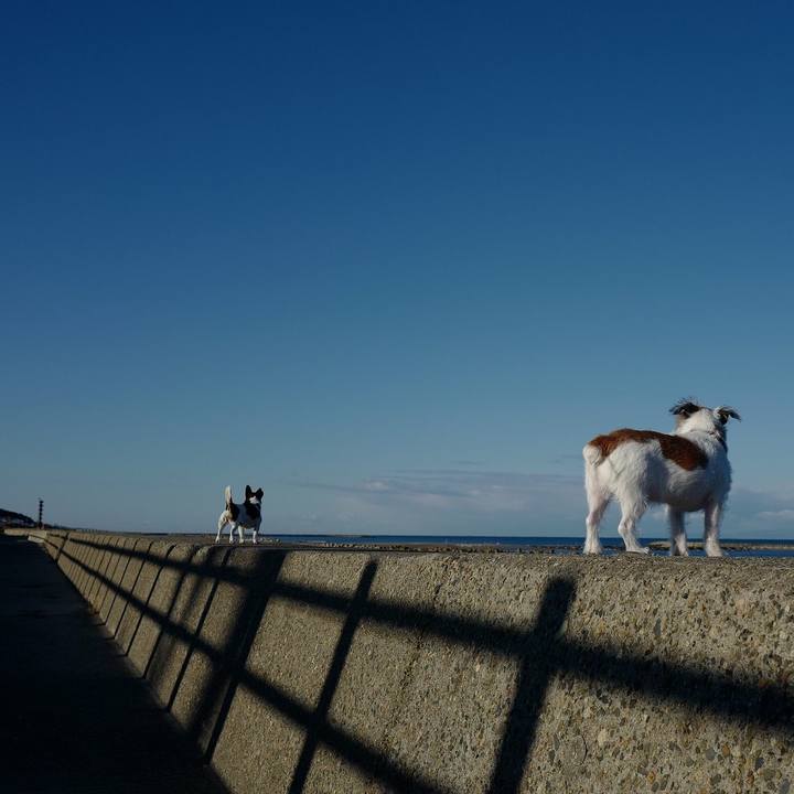 A97ec008 d2dd 4bc3 9045 a2fd50bb3f5d 1543117105895