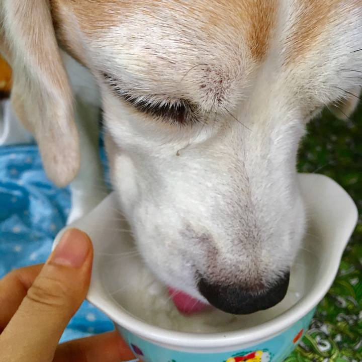 A97ecdfb e8d4 4e53 a5ce 443e6f0cbf9e 1563766168851