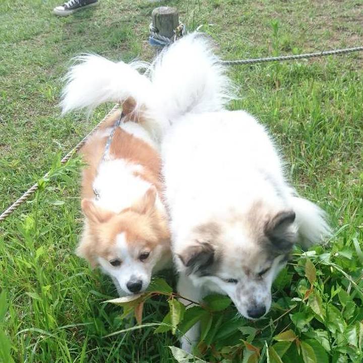 A97ed369 b917 47b7 8f15 e3b07897e89d 1653476875842