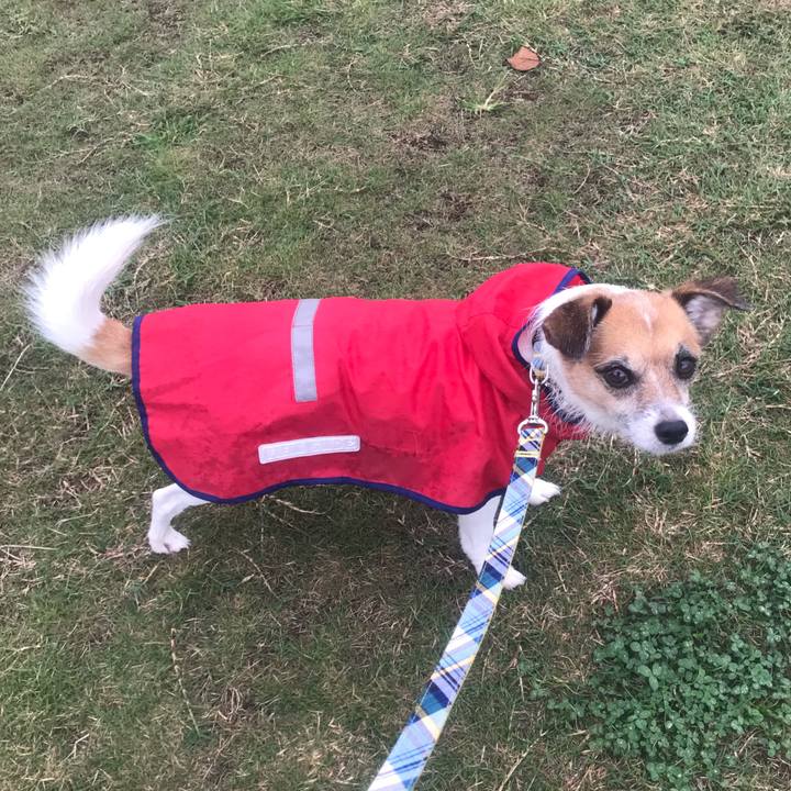 A97ef1eb 3b37 4cb5 86ef 740076d7ab37 1537853440082