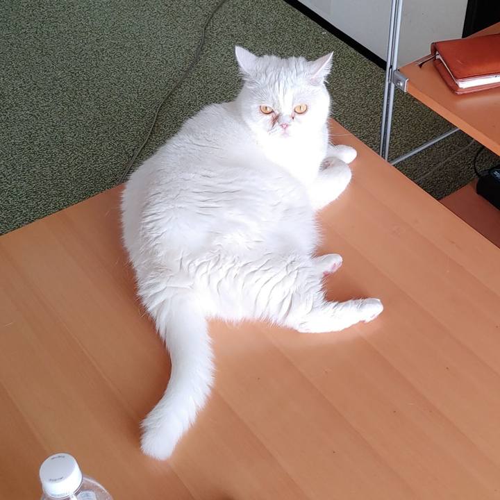 A97f0a07 3527 404c b962 04daf20cbb0b 1659831319189