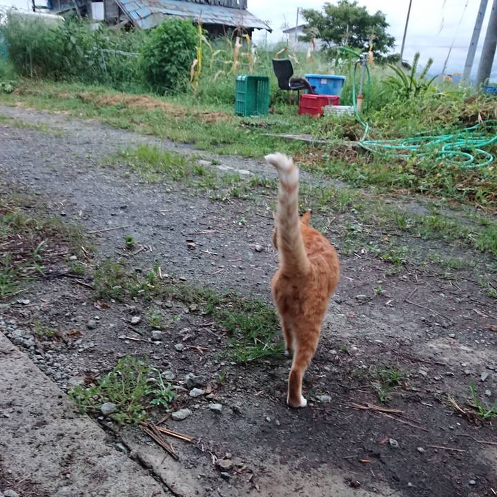 A97f300d f7ed 4425 bf30 aad2da310056 1598865373278