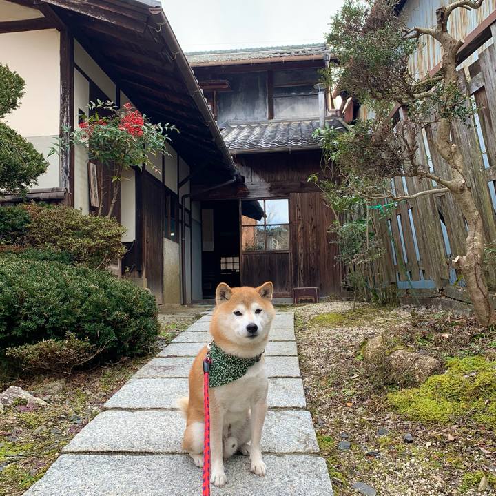 A97f7bd9 0c4a 4711 9168 d25b87908021 1673174550530