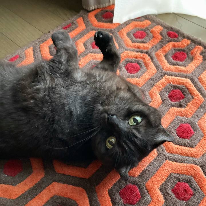 A97f9c92 40da 466a bac3 ad27f190f464 1592100717837