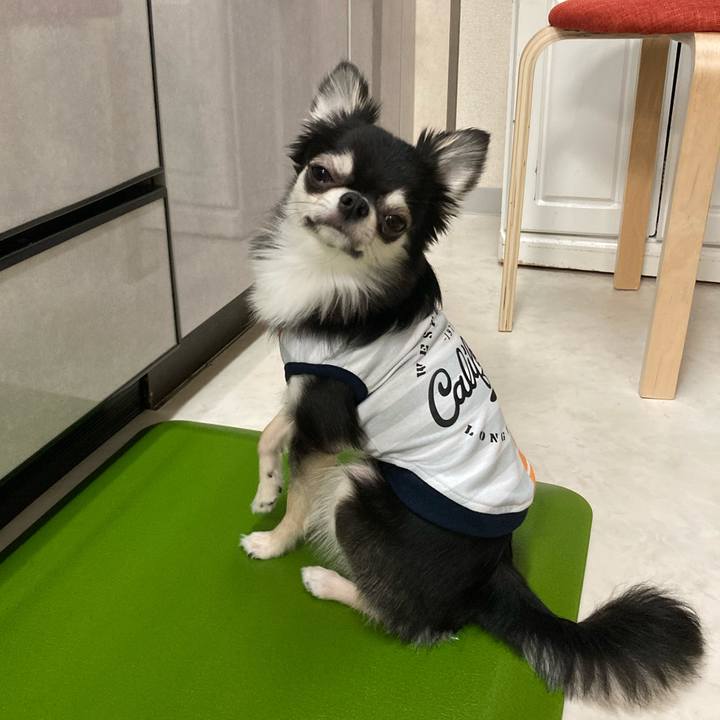 A97f9d84 094c 48b7 a379 3e35dd4183cd 1619879959741