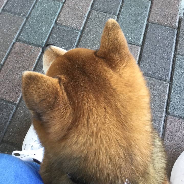 A97fa5ec fcb2 4f69 8dae d88a0f38408f 1578896041323