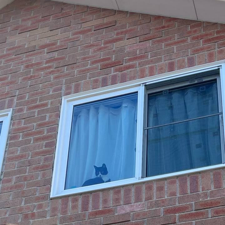 A97fdbd3 3297 42f8 904e 26c7539a71c1 1673346605736