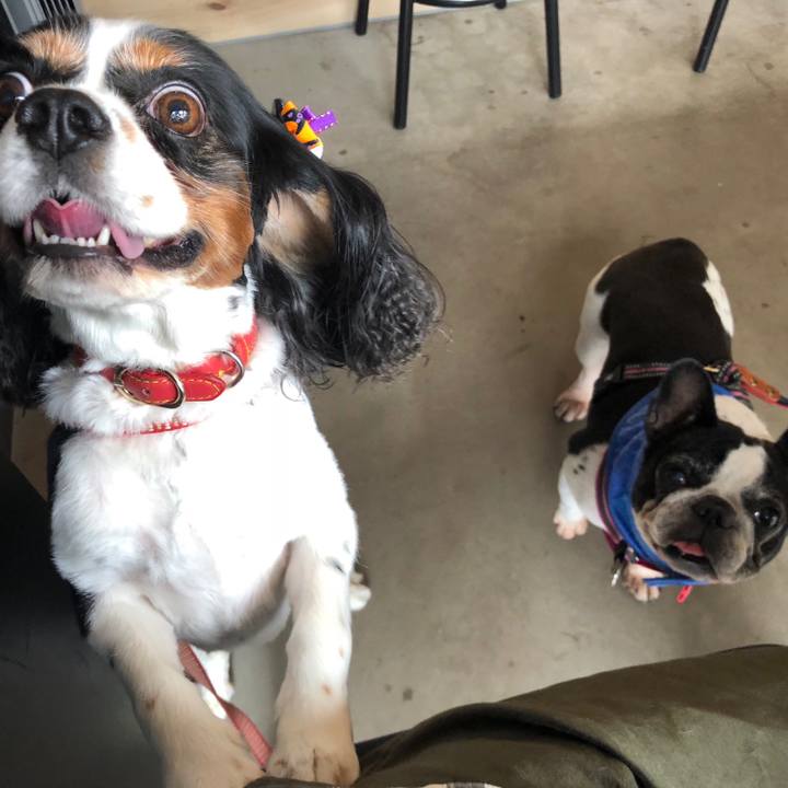 A9803c79 4117 4e2e 838e 5d2bddbd841e 1537023689683