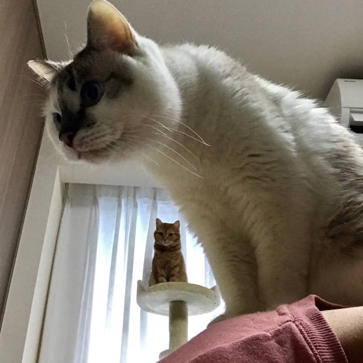 A9805191 bf76 47a5 9cdc e056fa2d4dd2 1545811505518