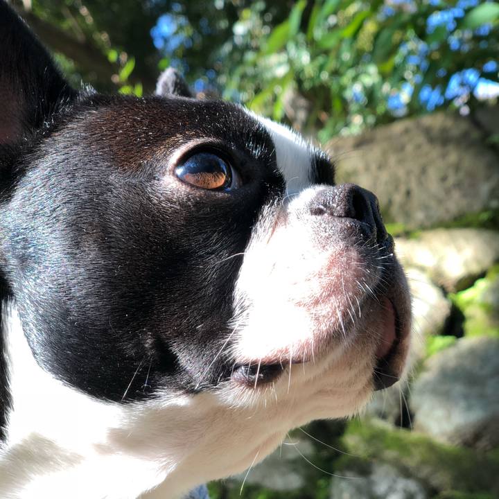 A980599e d797 4ace a52f 2ab25b653b36 1541547807201