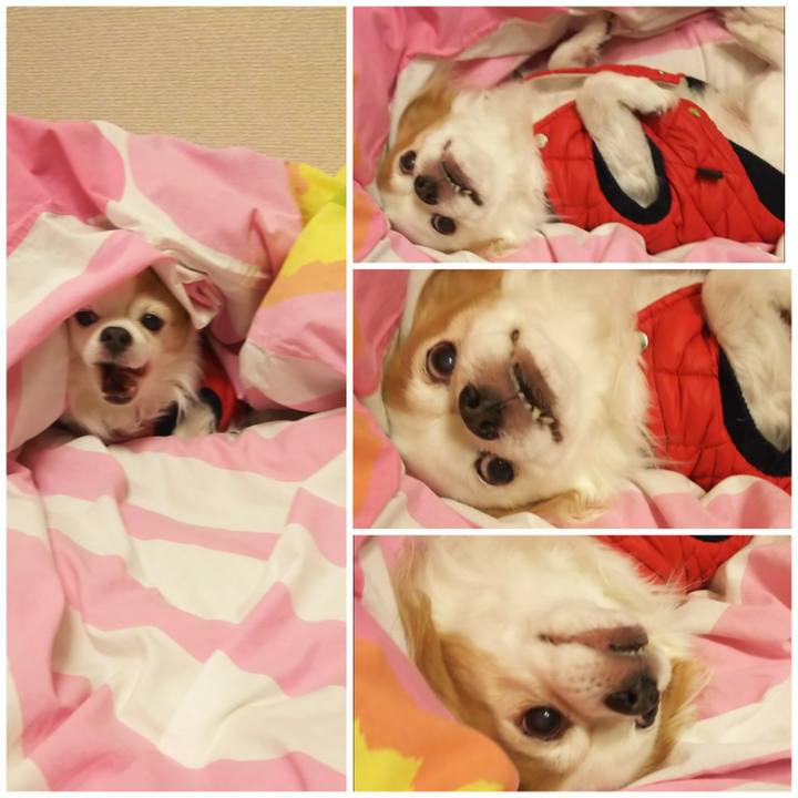 A9807e7b 8841 40a4 88b1 ad2a93401ed7 1609290580183