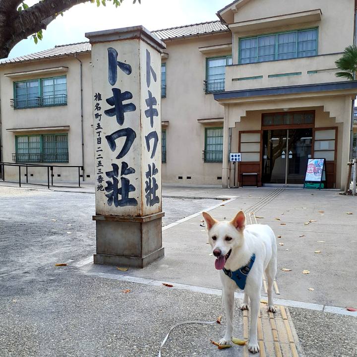 A980add8 0cb0 4a10 b1a4 a20b6dfd6a4b 1633759594559