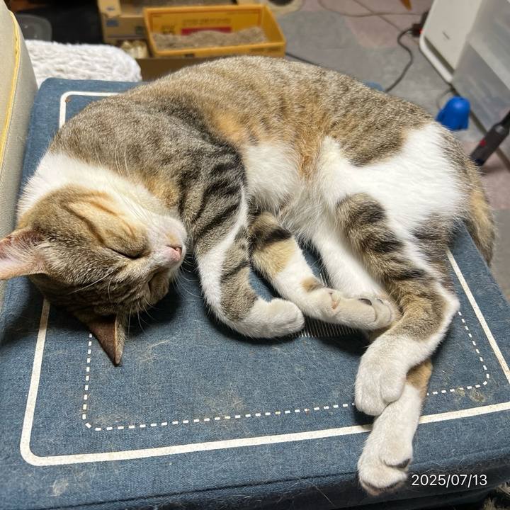 A980db2e f96b 49f1 b675 7ff75cad8c2b 1752443536960