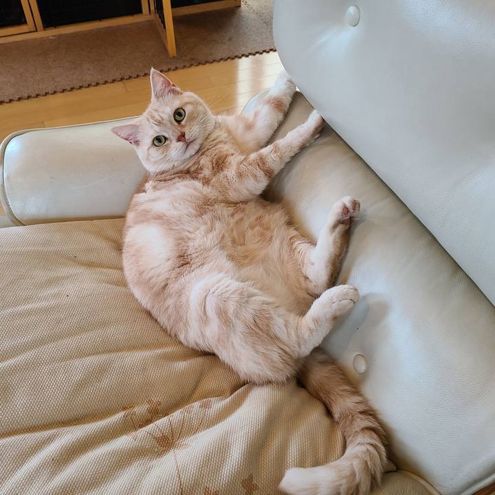 A980fbe5 878c 4379 941f 58f8b6dd1f37 1600937609576