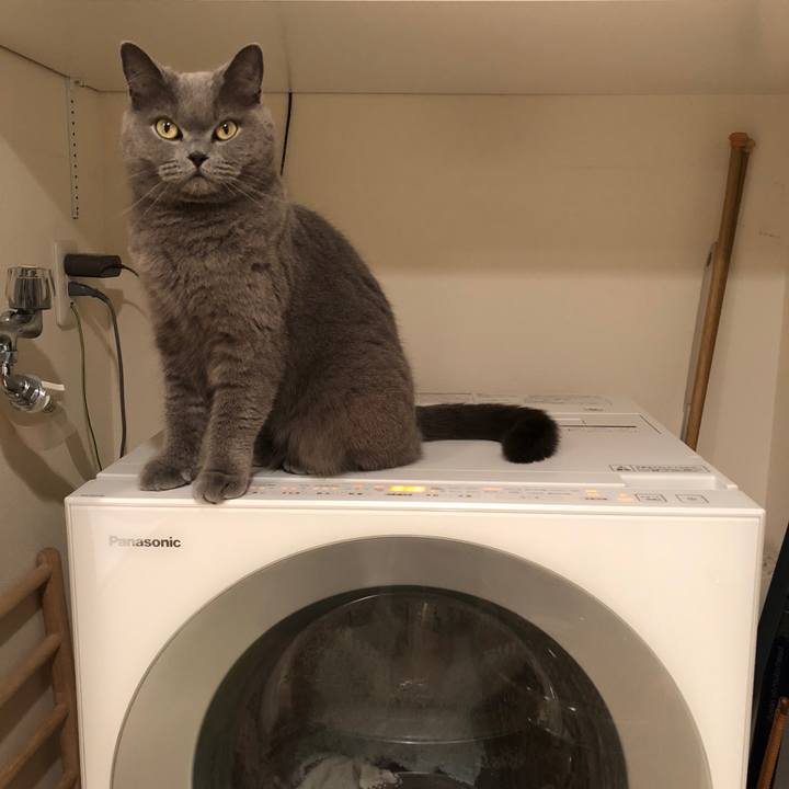 A9813115 4919 4fb1 8cb7 ae70f6350c3f 1521251209846