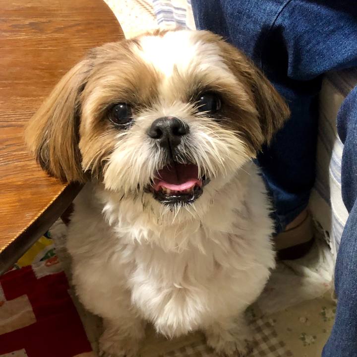 A981338f d097 4fd0 a01f 6c34fe33f53c 1570926988954