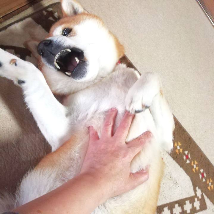 A98199d3 3493 4cac a8c1 48b977449d96 1606449321593