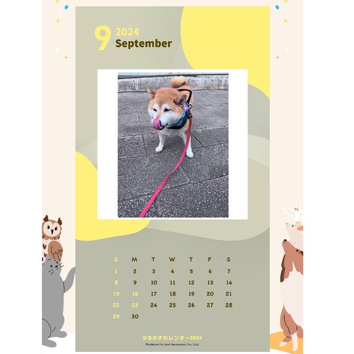 A981d7a3 557a 4539 8910 b80cb926e7e8 1692508433683