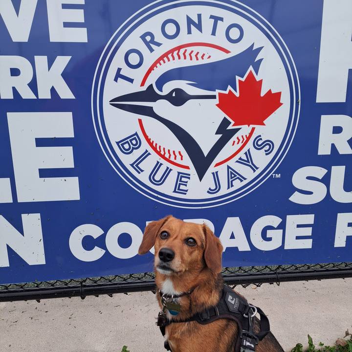 A98200d0 09bd 4fc0 af76 d16e0245ac95 1760736103722