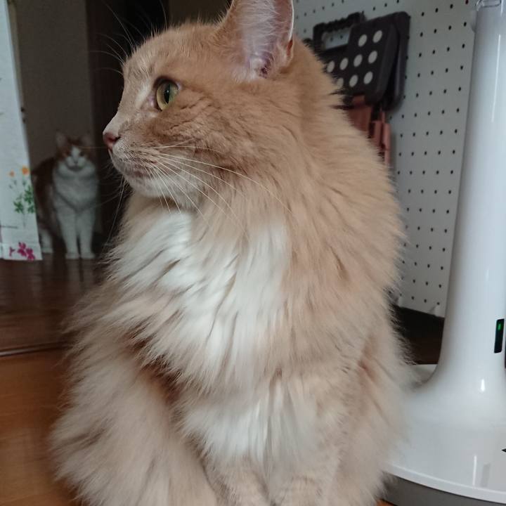 A9820f2b b480 4e57 a897 4cf0f69fa5e2 1570245132891