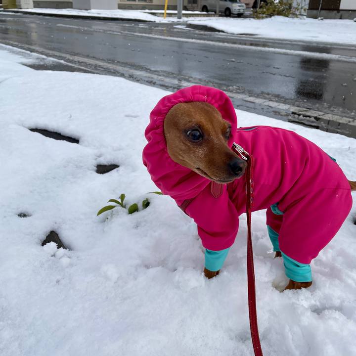 A98221c2 5da6 4727 a222 b4bc8bf33d61 1637897812103