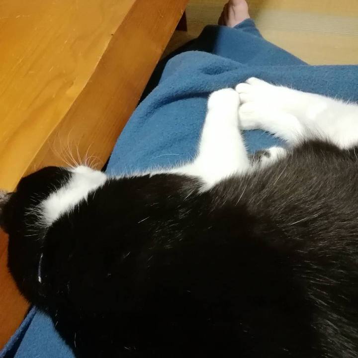 A9823b8b dafe 45fd 9459 dbabee8da26f 1571755606793