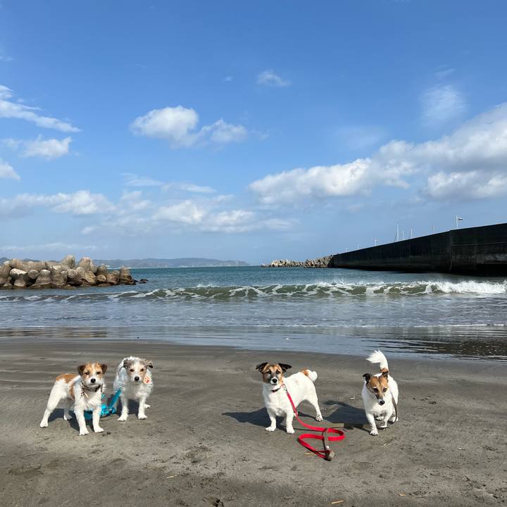 A9826b7b b907 427d 9151 9e0266f7ad41 1736925283094