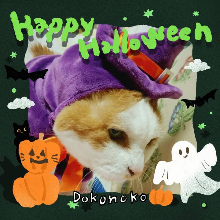 A98276f9 5a5a 479f a71a 754a4a69d4a0 1729746929782