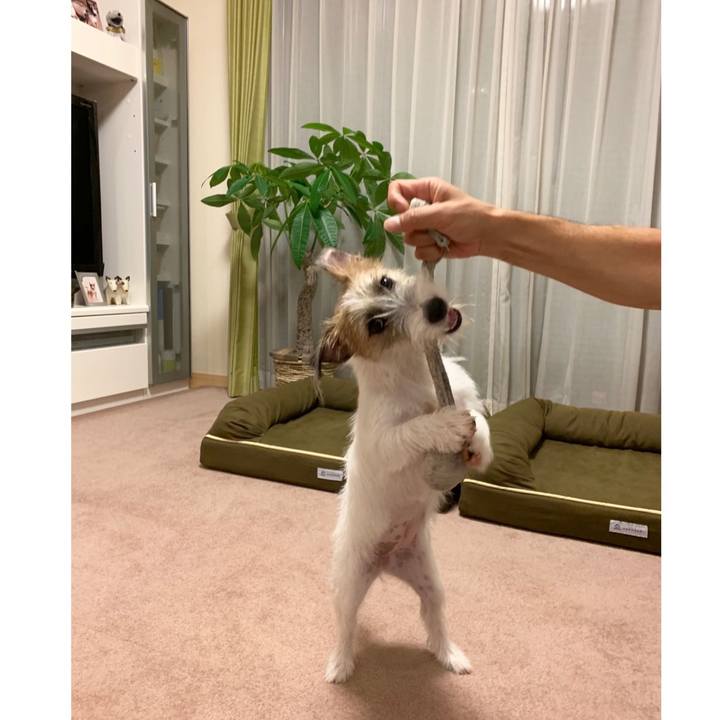 A982802f 10c6 4556 81b6 82f7790fb66a 1570111696562