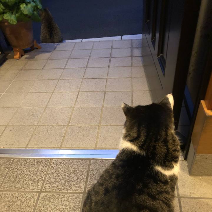 A982843b 943d 4745 80a2 42913e686a15 1515580867603