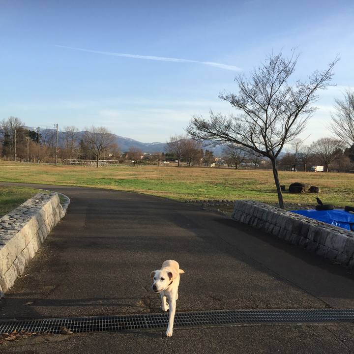 A98295c3 5e76 407a ab5b 675d30a17204 1545375460334