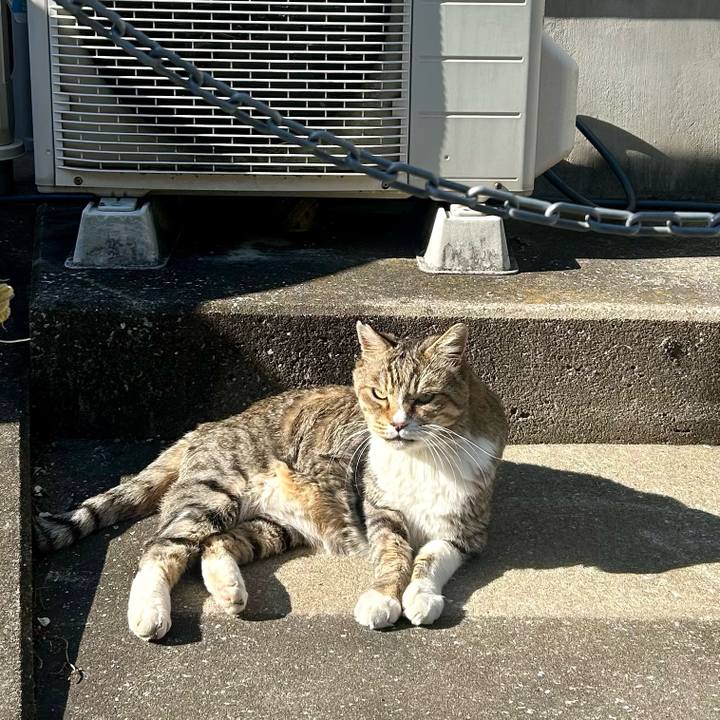 A982afa9 2fde 4fc0 b86b 1c37c4968ba8 1763603667700