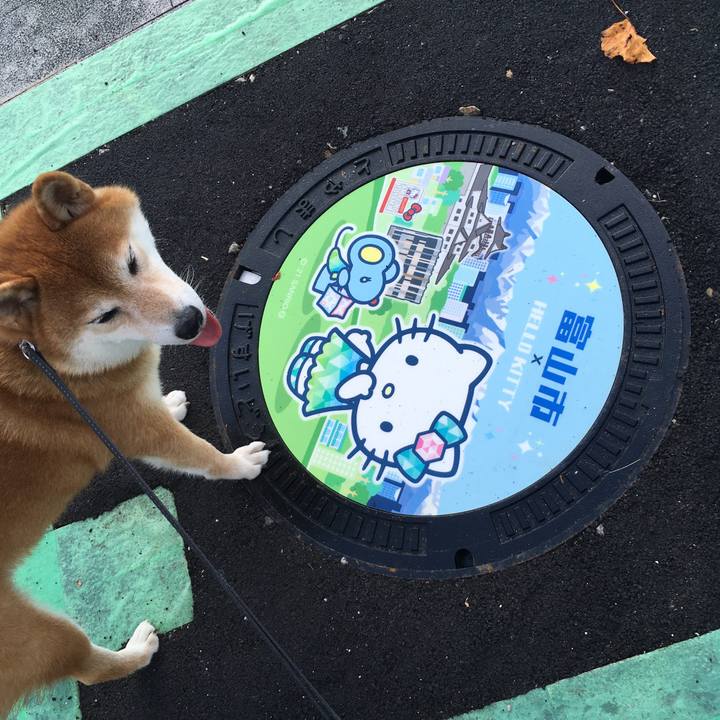 A982d181 dd4f 4833 8d7a 92cf45891da4 1633852846044