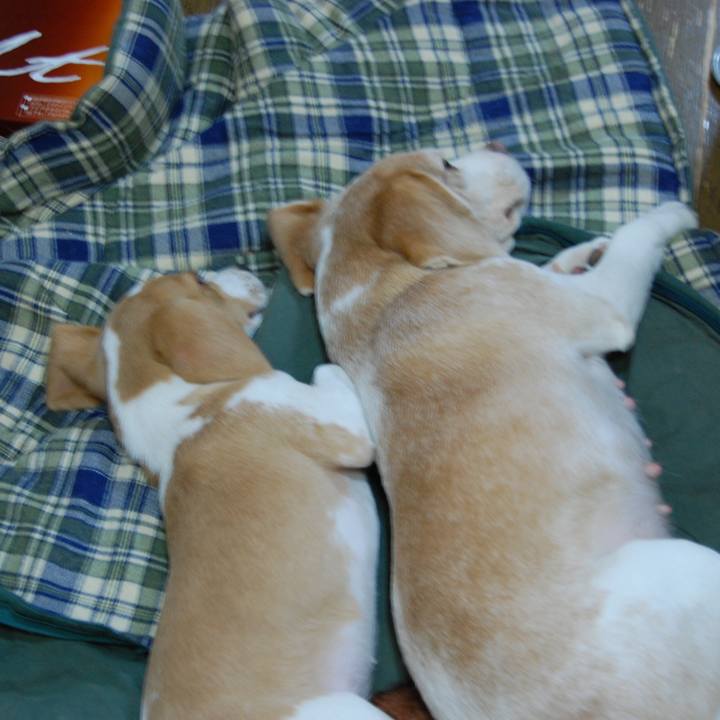 A982e46e 3098 4be5 b107 e5dfdc156f18 1528468620427