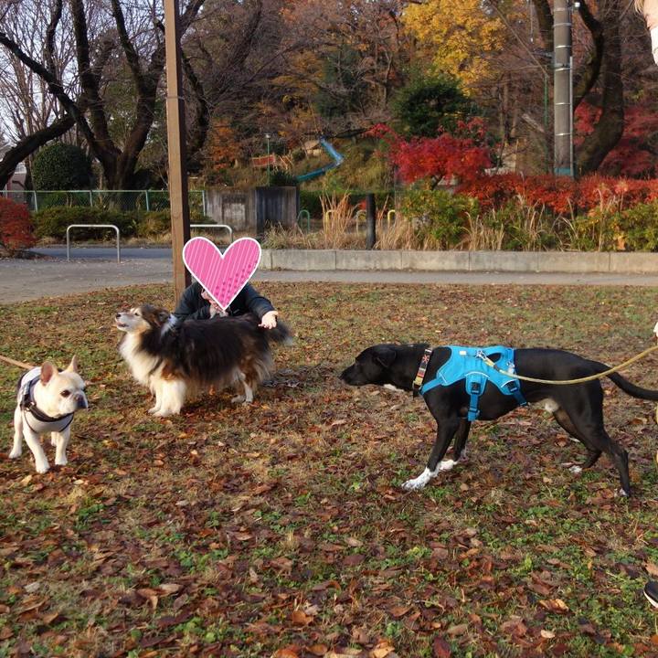 A982f2bf 1398 4202 a339 f4e583441e54 1607821078165