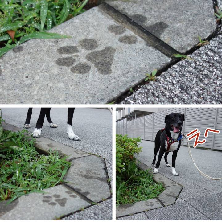 A9830007 cf0d 4d4e 8e42 d6e9ade16439 1655894643263