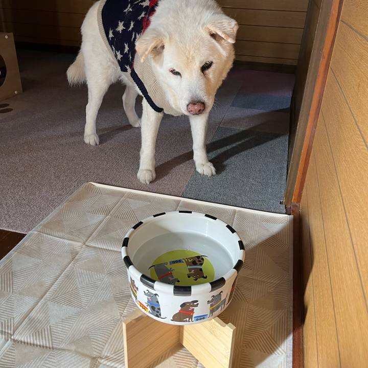 A9830652 f577 4744 98aa c2851ec74d70 1769385276343