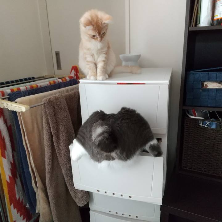 A9830b5c 7887 4c42 be74 e3d5b6448daa 1607657503533