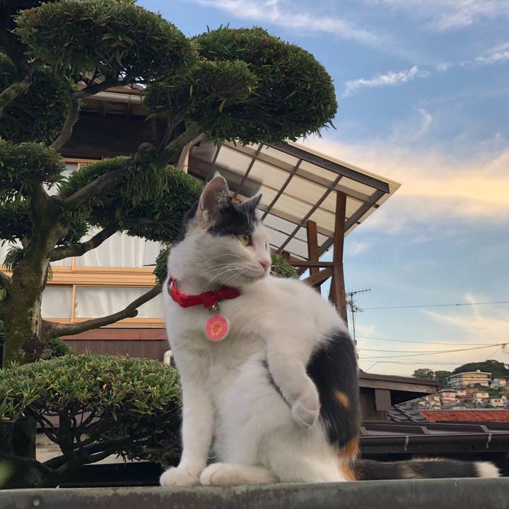 A98316c4 3cc4 421c a70c e1d904ddbbad 1632399924307