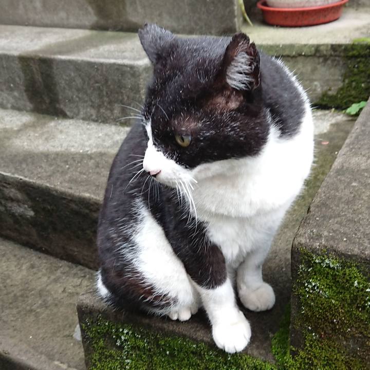 A983273f 93ad 45df 92cf 585d20a5e637 1622958752970