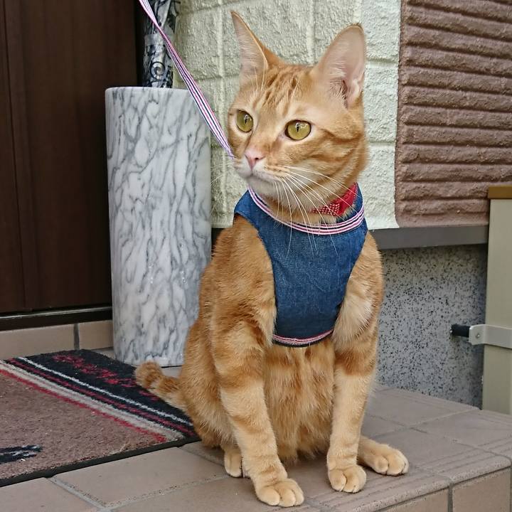 A9835fd8 4315 4db2 8152 031de78ed4dd 1520150994114