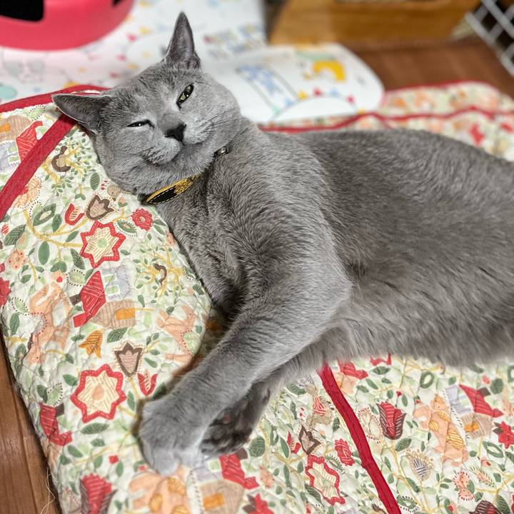 A9837b4d cec6 459a 8ce8 d49bffd5be87 1666421375940