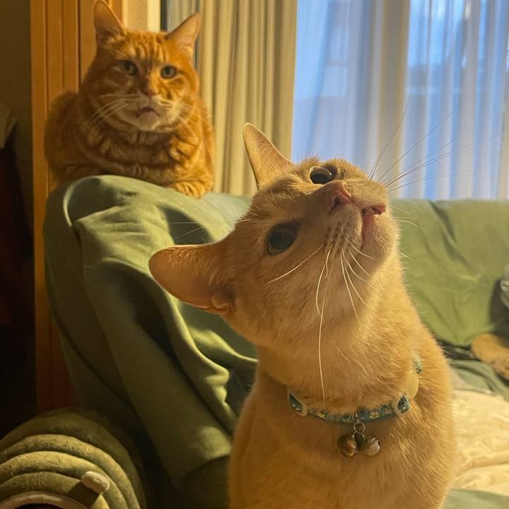 A983d03f 1746 49db a78c a01fea529264 1684323266087