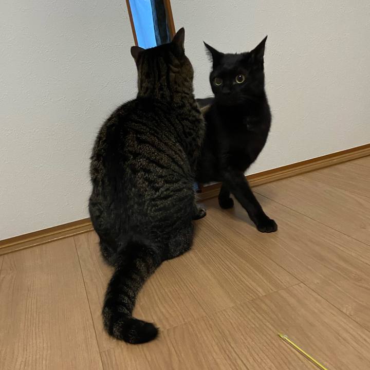 A983dcb7 c946 42dd 820b 7cb436c3f0d3 1641689569680