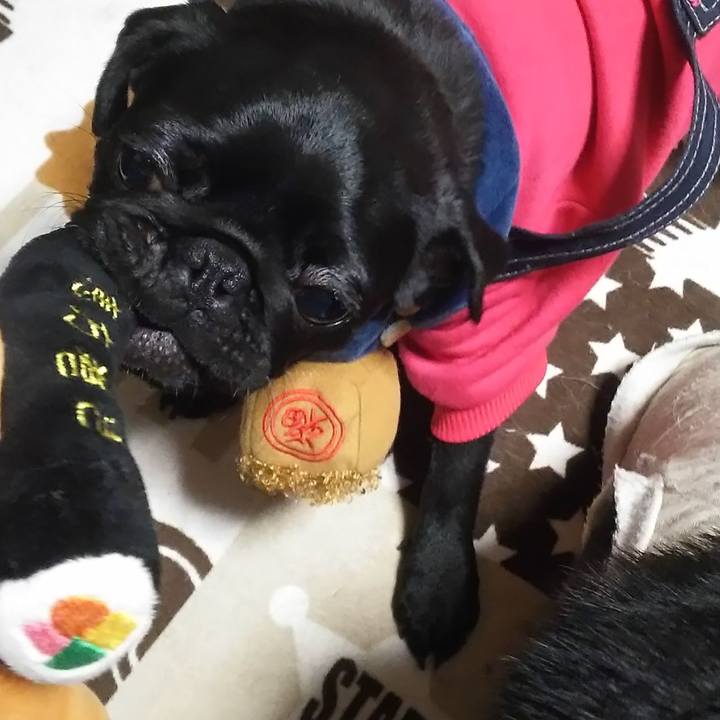 A9848931 3ac2 4b35 ace9 260b49a63b6a 1580666973647