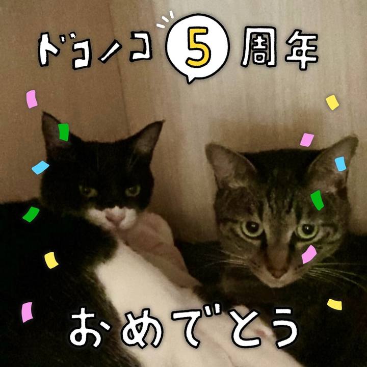 A9849c2a 7adf 4d99 9e12 22e943055360 1623042067504