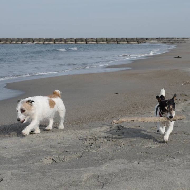 A984dc83 6b76 4d4c a046 df6b1cd42dd7 1552190615329