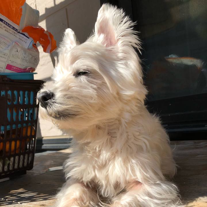 A9850ebd c1c9 4d95 b3da 442ebd7a2f9b 1573829093832