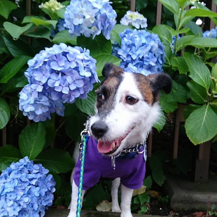 A9851455 e45f 4dcb 97f3 5681636d4da5 1592141521370