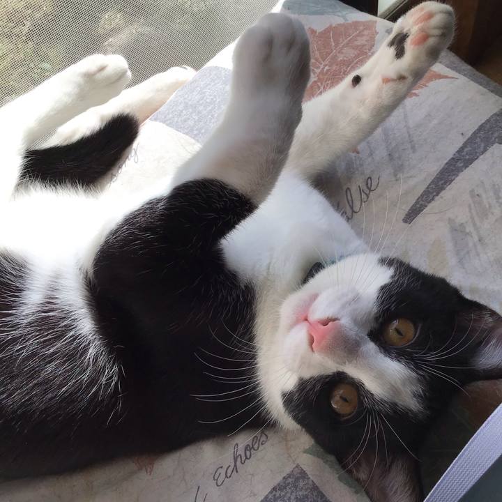 A9851b68 c18b 4e15 b8a4 d4f44cd81c96 1632897345764